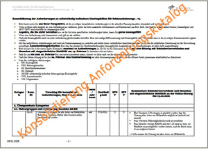 Verkleinerte Seite Konsolidierung der Anforderungen